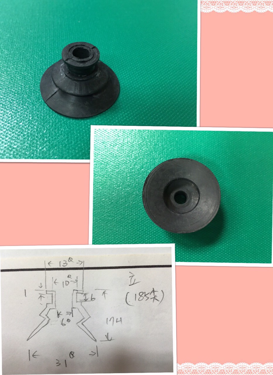 Q301-31*1*17 SI