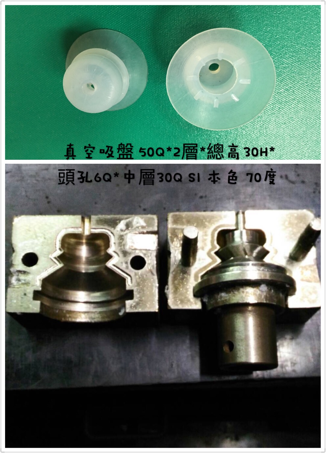 1051103範達-真空吸盤 Q301-50-2 SI